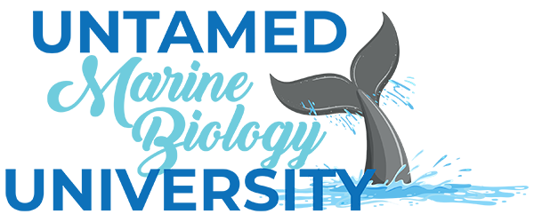 Untamed Marine Biology University